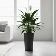 Кашпо (пластик) Pink-apple Cono  - Кашпо (пластик) Pink-apple Cono 