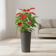 Кашпо (пластик) Pink-apple Cono  - Кашпо (пластик) Pink-apple Cono 