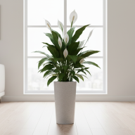 Кашпо (пластик) Pink-apple Cono  - Кашпо (пластик) Pink-apple Cono 