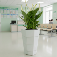 Кашпо (пластик) Pink-Apple Agava - Кашпо (пластик) Pink-Apple Agava