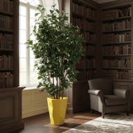 Кашпо (пластик) Pink-Apple Agava - Кашпо (пластик) Pink-Apple Agava