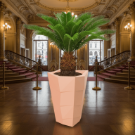 Кашпо (пластик) Pink-Apple Agava - Кашпо (пластик) Pink-Apple Agava