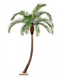Гигантская изогнутая финиковая пальма искусствен. 