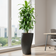 Кашпо Pink-Apple Spiral - Кашпо Pink-Apple Spiral