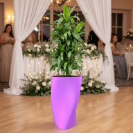 Кашпо Pink-Apple Spiral - Кашпо Pink-Apple Spiral