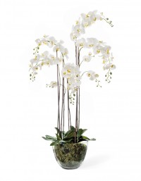 Растение искусственное Орхидея Фаленопсис белая с мхом, корнями, землёй