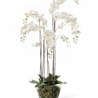 Растение искусственное Орхидея Фаленопсис белая с мхом, корнями, землёй - Растение искусственное Орхидея Фаленопсис белая с мхом, корнями, землёй