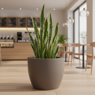 Кашпо (пластик) Pink-Apple Classico - Кашпо (пластик) Pink-Apple Classico