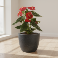 Кашпо (пластик) Pink-Apple Classico - Кашпо (пластик) Pink-Apple Classico