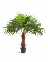 Пальма Вашингтония искусственная 120 см