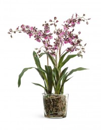 Растение искусственное Орхидея Онцидиум бургундия с розово-белым в стеклянной вазе Диаметр 65 см Высота 67 см