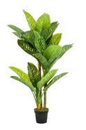 Искусственное растение "Диффенбахия" Высота 150 см 