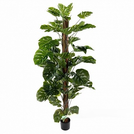 Искусственное растение "Монстера" Высота 180 см 