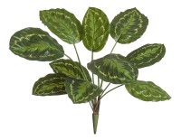 Калатея Розеопикта зелёная куст 48 см искусственный