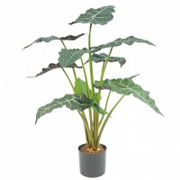 Растение искусственное "Алоказия" Высота 67 см 