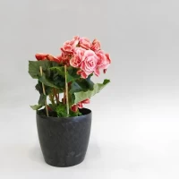 Кашпо PinkapOLIA ECO recycled beton