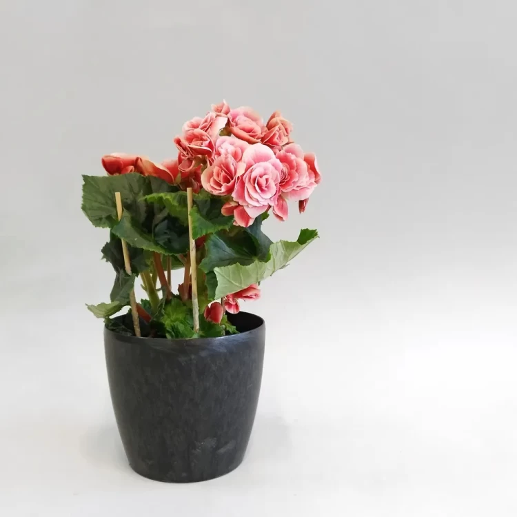 Кашпо PinkapOLIA ECO recycled beton
