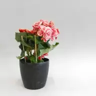 Кашпо PinkapOLIA ECO recycled beton - Кашпо PinkapOLIA ECO recycled beton