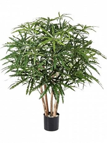 Растение искусственное "Aralia Branched" Высота 115 см