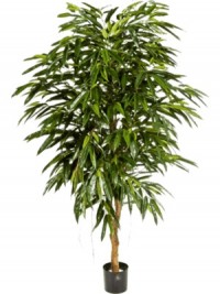 Растение искусственное "Longifolia Branched" Высота 150 см