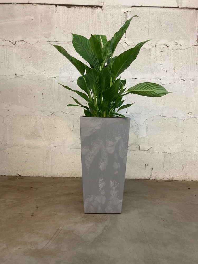 Кашпо Pink-Apple Cubico ECO recycled beton с вставкой 