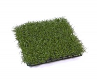 Коврик Газон-трава Искусственная темно-зеленая 26x26 см