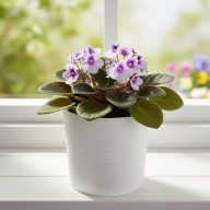 Кашпо Pink-Apple Cilindro Trendy с автополивом - Кашпо Pink-Apple Cilindro Trendy с автополивом