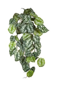 Сциндапсус Пиктус куст ампельный (серия FR - огнезащита) искусственный Высота 70см Ширина 40см
