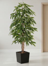 Композиция Розовое Яблоко — 181 см — Лонгифолия широколистная 150 см — Кашпо 30×31 см