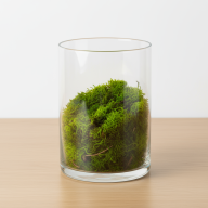 Ваза "Трубка 150" (прозрачное стекло) Ваза "Трубка 150" (прозрачное стекло) - Ваза "Трубка 150" (прозрачное стекло)